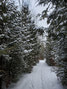 Old Farms Trail at Point Farms Provincial Park